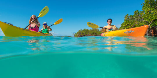 Over-under photo of kayaks in turquoise ocean water and red mangroves trees