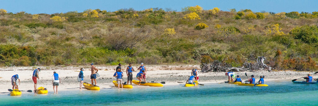 Kayak tour group on the beach in North Creek on Grand Turk