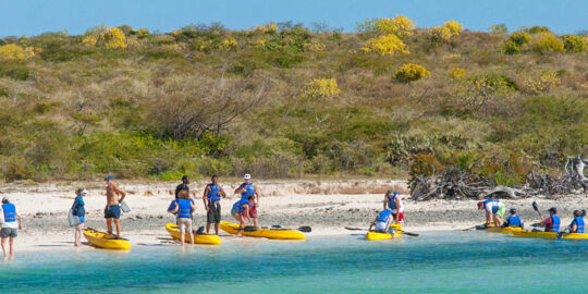 Kayak tour group on the beach in North Creek on Grand Turk