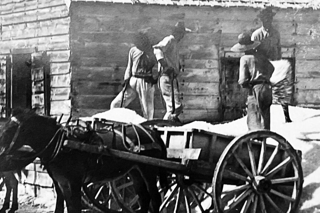 Loading salt, 1929