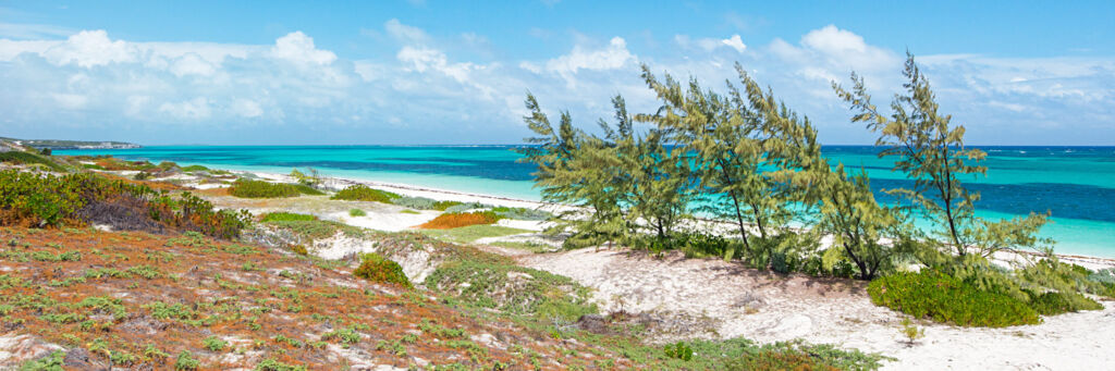 to South Caicos! Visit Turks and Caicos Islands