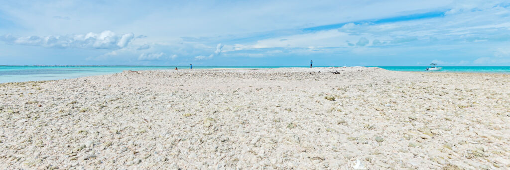 Shoal of sea shells and coral at Molasses Reef in the Turks and Caicos