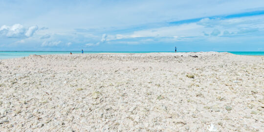 Shoal of sea shells and coral at Molasses Reef in the Turks and Caicos