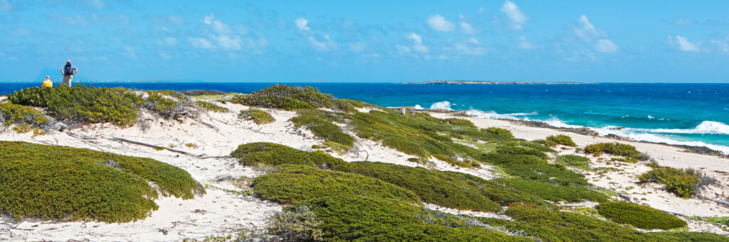 Hiking at the dunes and coastal vegetation of Northeast Point on Salt Cay