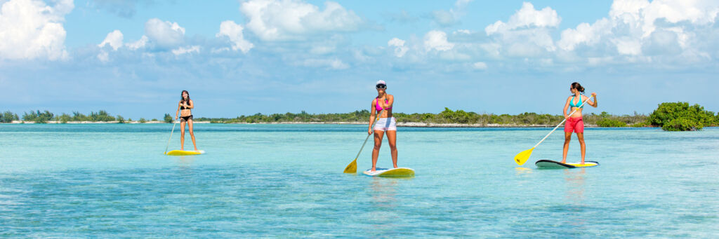 Paddle boarders at Mangrove Cay