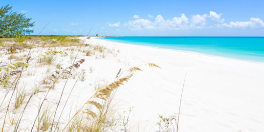 Sea oats and white sand beach of Pine Cay