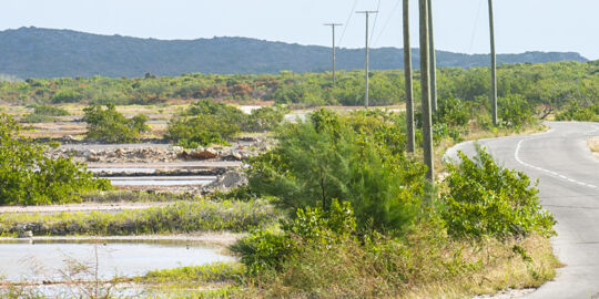 The road to East Bay Resort and the Highlands on South Caicos