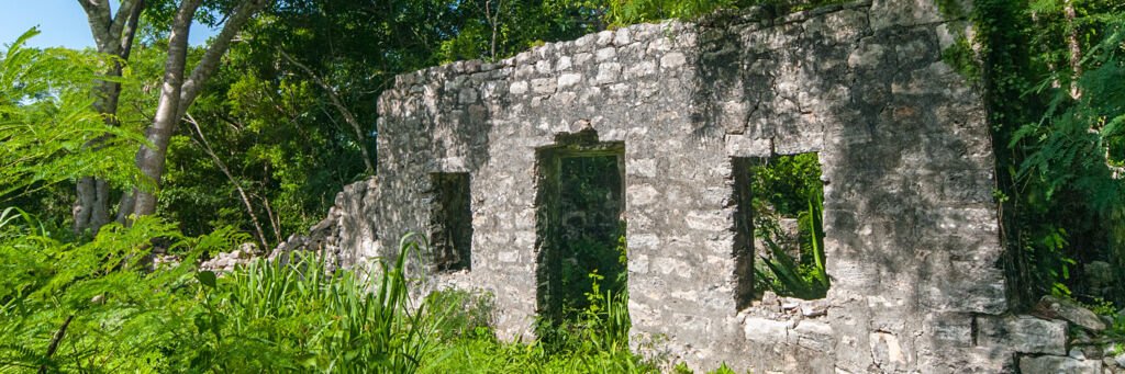 Ruin at Wade's Green Plantation showing a stone building surrounded by vegetation on North Caicos.