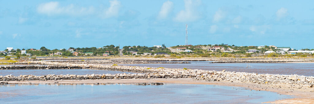 Dividing walls and salt pans in the South Caicos salinas