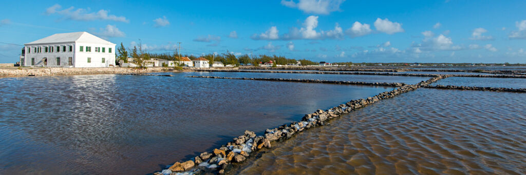 The Salt Cay salinas and the Harriott White House