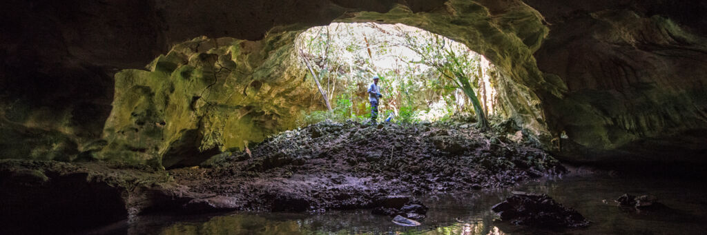 Sinkhole and water lens cave in the wilds of East Caicos