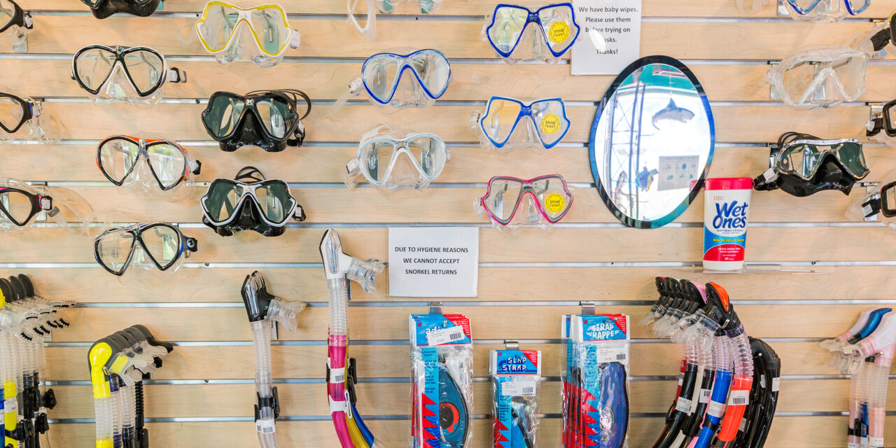 skechers grace bay