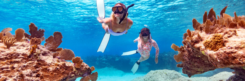 Two snorkelers near sea fans at West Caicos