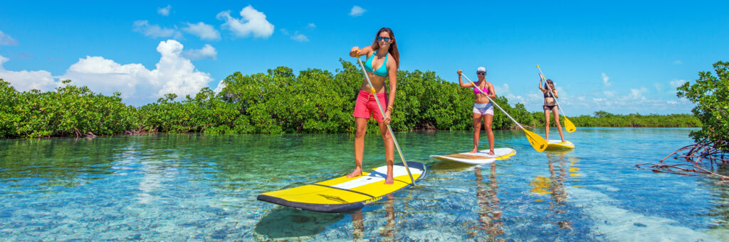 Stand up paddle boarding in the red mangroves of the Turks and Caicos