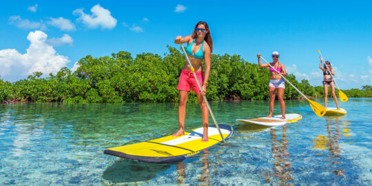 Stand up paddle boarding in the red mangroves of the Turks and Caicos