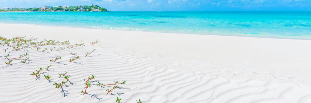 Beautiful sand at Taylor Bay Beach