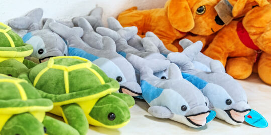 Plush turtles, dolphins, and dogs in a shop in the Turks and Caicos