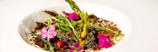 Closeup of a gastronomic egg dish in Turks and Caicos. 