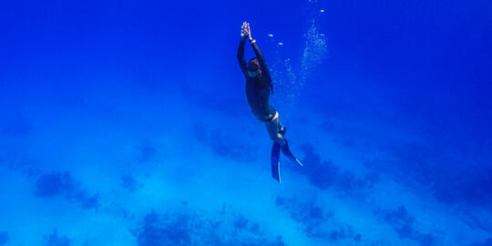 Freediver at Malcolm Roads Beach