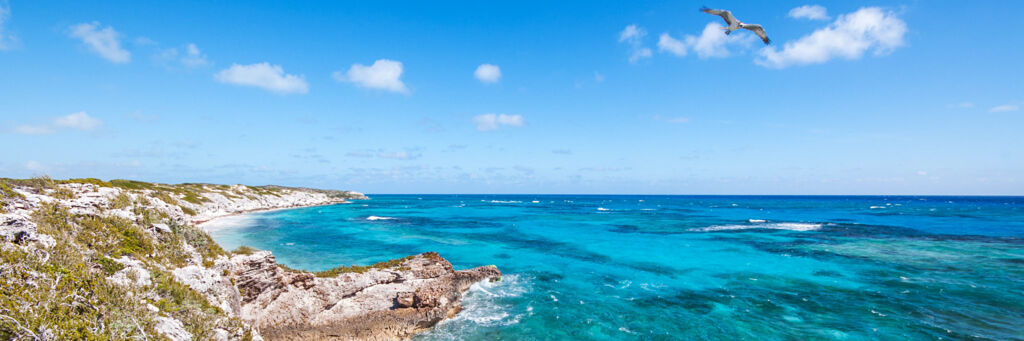 Cliffs, reef and an osprey at Highlands Point on South Caicos