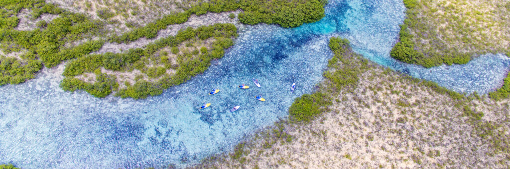 Aerial view of paddle boarders in the estuary at Mangrove Cay