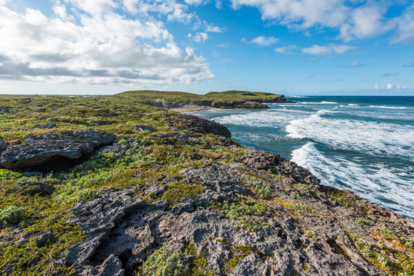 The rugged marine limestone coastline and cliffs of the Crossing Place Trail on Middle Caicos