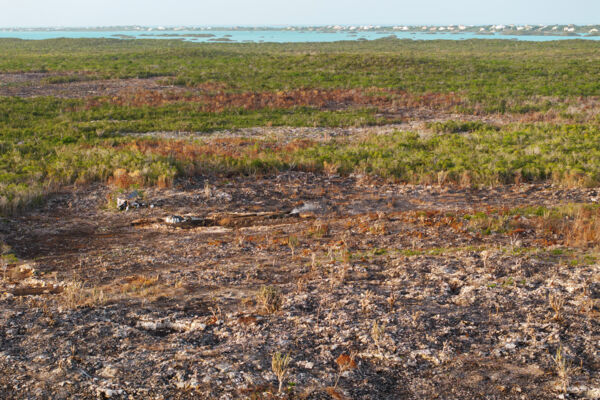 Aerial view of deforestation in the Turks and Caicos for charcoal burning
