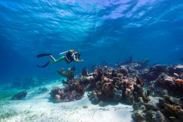 Scuba diving at Smith's Reef off of Providenciales