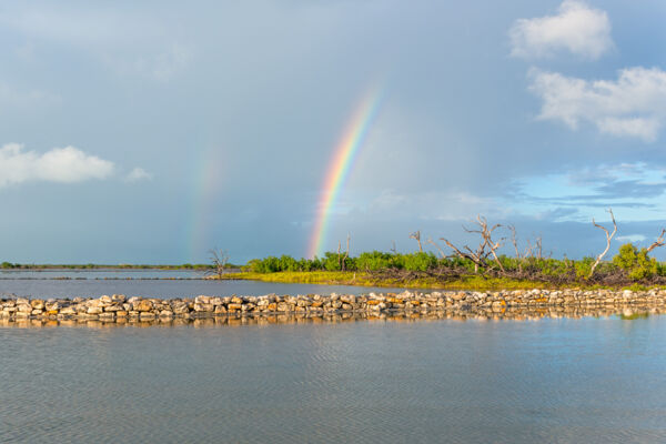 Rainbow over the South Caicos salinas and wetlands