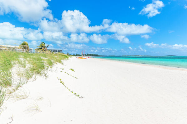 White sand and sea oats at East Bay Beach on South Caicos