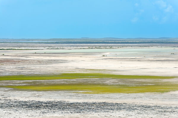 East Caicos savana