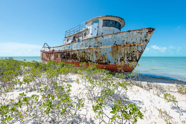 Small steel transport shipwreck in the red mangroves of North Caicos