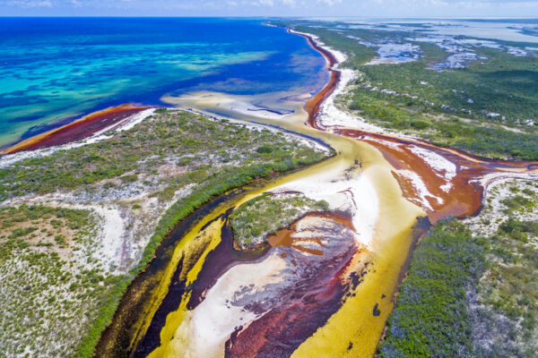 Inlet with sargassum