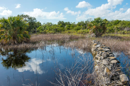 Loyalist-era plantation field walls and pond on Middle Caicos