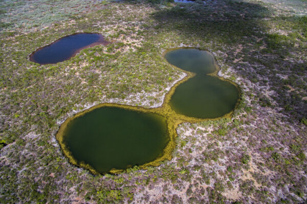 Karst Black Holes on the remote East Caicos