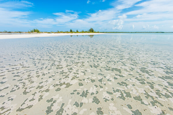 Floating sand at the shallow Half Moon Bay Lagoon on a calm day