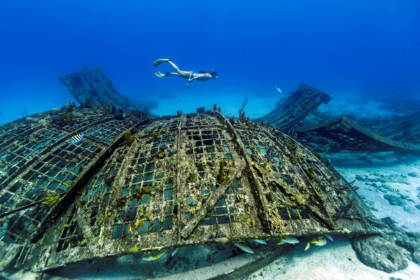 Freediver and the collapsed Thunderdome at Malcolm's Road Beach