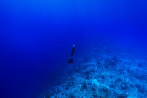 Freediving on the wall in Turks and Caicos