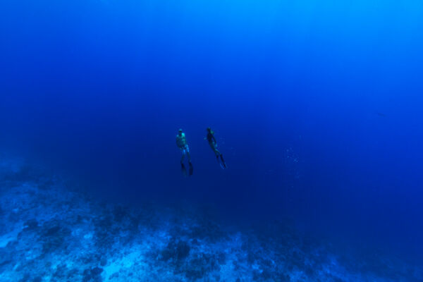 Freediving at the wall on Providenciales