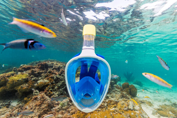 Full face snorkel mask in the ocean