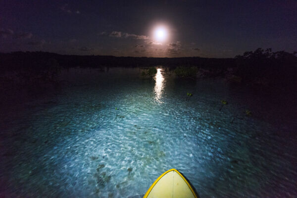 Stand-up paddleboarding at night during the full moon in the Princess Alexandra National Park