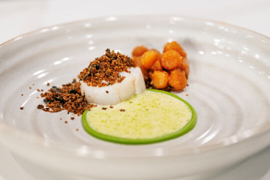 Closeup of a gourmet cod dish at Terra Mar restaurant. 