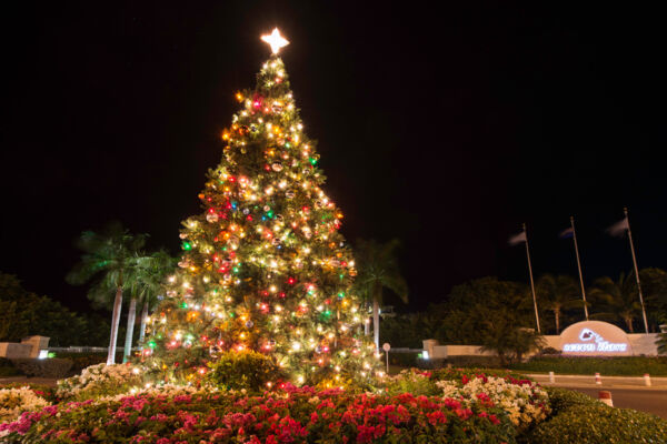 Giant Christmas Tree at the Seven Stars Roundabout in Grace Bay