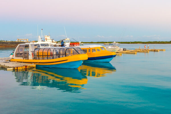 Passenger ferry boats at Heaving Down Rock Marina at dawn