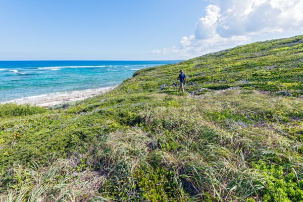 Hiker on the beautiful rolling coastal hills near the Crossing Place Trail