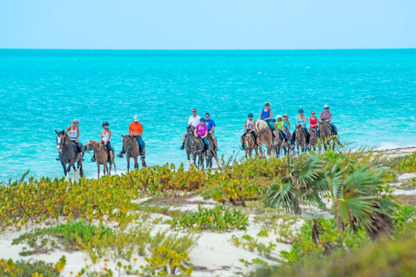 Horseback riding tour at Long Bay Beach on Providenciales