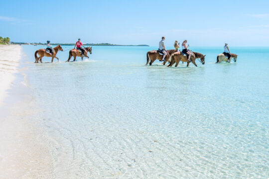 Wading in the ocean at Long Bay Beach on horseback