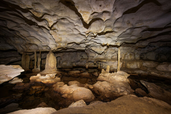 Conch Bar Caves