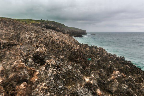 Limestone ironshore formations at Juniper Hole on the Crossing Place Trail