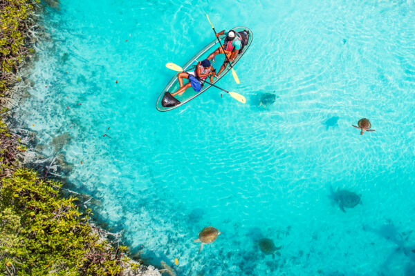 Clear kayak and group of sea turtles in turquoise water. 